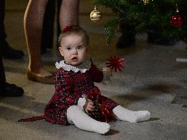 SWEDEN ROYAL PALACE CHRISTMAS TREES