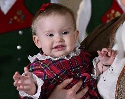 SWEDEN ROYAL PALACE CHRISTMAS TREES