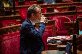 The French Government Statement on National Defense Strategy - Paris