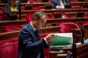 The French Government Statement on National Defense Strategy - Paris