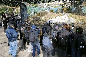 Pandas at Tokyo's Ueno zoo set to return to China