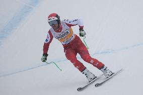 SPORT INVERNALI - Sci Alpino - AUDI - FIS Ski World Cup - Men's Downhill - training session