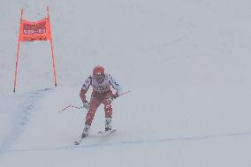 SPORT INVERNALI - Sci Alpino - AUDI - FIS Ski World Cup - Men's Downhill - training session