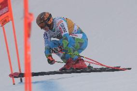 SPORT INVERNALI - Sci Alpino - AUDI - FIS Ski World Cup - Men's Downhill - training session