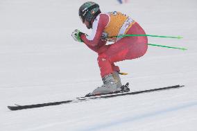 SPORT INVERNALI - Sci Alpino - AUDI - FIS Ski World Cup - Men's Downhill - training session