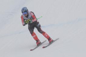 SPORT INVERNALI - Sci Alpino - AUDI - FIS Ski World Cup - Men's Downhill - training session