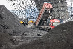 Thermal Coal Storage and Transportation