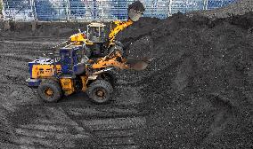 Thermal Coal Storage and Transportation