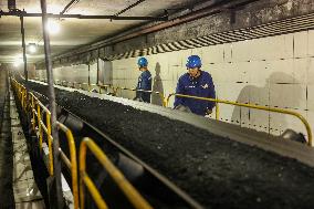 Thermal Coal Storage and Transportation