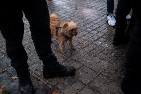 Mossos Prepare to Evict Settlement - Barcelona