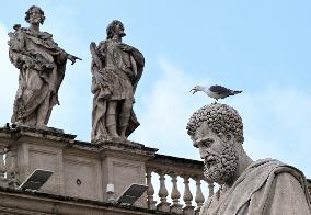 Pope Leo XIV Leads The General Audience - Vatican