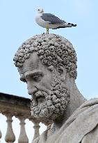 Pope Leo XIV Leads The General Audience - Vatican