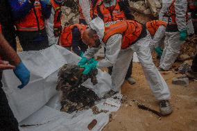 Search Operation In Rimal - Gaza City