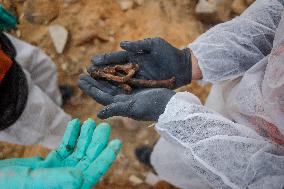 Search Operation In Rimal - Gaza City