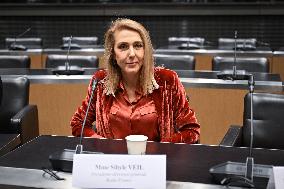 Commission of Inquiry on Public Broadcasting - Paris