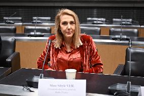 Commission of Inquiry on Public Broadcasting - Paris