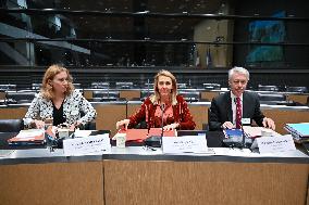 Commission of Inquiry on Public Broadcasting - Paris