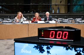Commission of Inquiry on Public Broadcasting - Paris