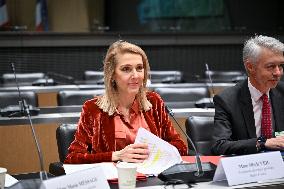 Commission of Inquiry on Public Broadcasting - Paris