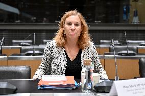 Commission of Inquiry on Public Broadcasting - Paris