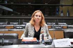 Commission of Inquiry on Public Broadcasting - Paris