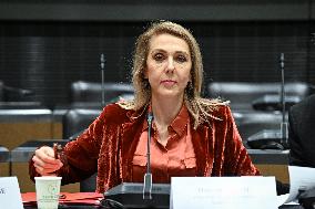 Commission of Inquiry on Public Broadcasting - Paris