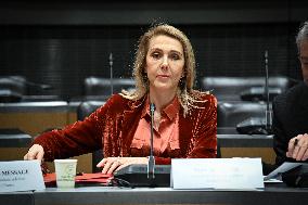 Commission of Inquiry on Public Broadcasting - Paris