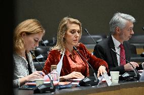 Commission of Inquiry on Public Broadcasting - Paris