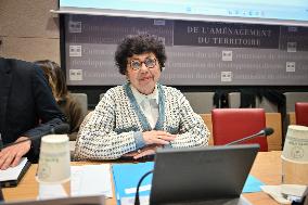 Hearing of Monique Barbut on COP 30 at the National Assembly - Paris