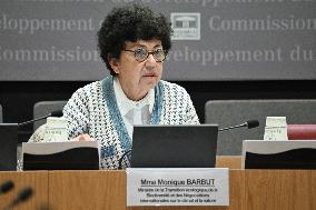 Hearing of Monique Barbut on COP 30 at the National Assembly - Paris