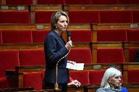 Session Of Questions To The Government At The National Assembly - Paris