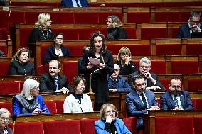 Session Of Questions To The Government At The National Assembly - Paris