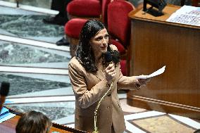 Session Of Questions To The Government At The National Assembly - Paris