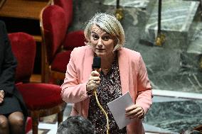 Session Of Questions To The Government At The National Assembly - Paris