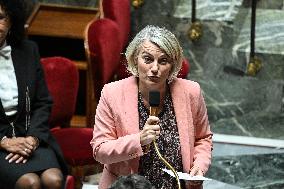 Session Of Questions To The Government At The National Assembly - Paris