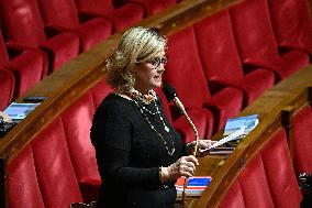 Session Of Questions To The Government At The National Assembly - Paris
