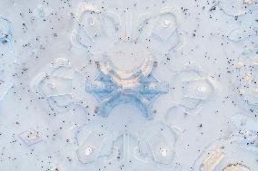 Harbin Ice-Snow World - Harbin