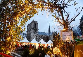 Christmas Market At Notre Dame de Paris - Paris