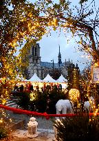 Christmas Market At Notre Dame de Paris - Paris