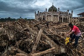 Indonesia s Investigates Deforestation Behind Cyclone Senyar