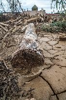 Indonesia s Investigates Deforestation Behind Cyclone Senyar