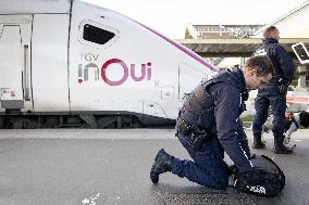 Illustration of the Gare de Lyon during the Christmas holiday departures - Paris AJ