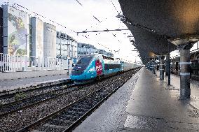 Illustration of the Gare de Lyon during the Christmas holiday departures - Paris AJ