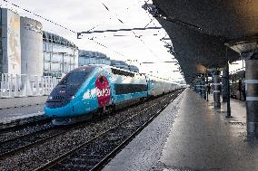 Illustration of the Gare de Lyon during the Christmas holiday departures - Paris AJ