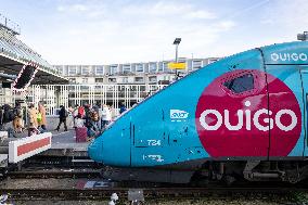 Illustration of the Gare de Lyon during the Christmas holiday departures - Paris AJ