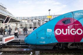 Illustration of the Gare de Lyon during the Christmas holiday departures - Paris AJ