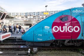 Illustration of the Gare de Lyon during the Christmas holiday departures - Paris AJ