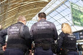 Illustration of the Gare de Lyon during the Christmas holiday departures - Paris AJ