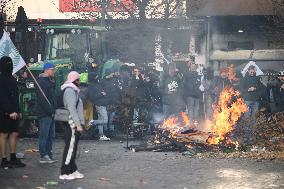Farmers Protest Ahead Of EU Summit - Brussels