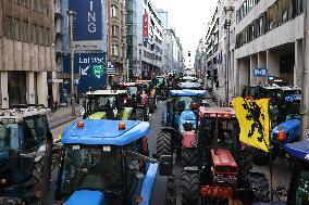 Farmers Protest Ahead Of EU Summit - Brussels